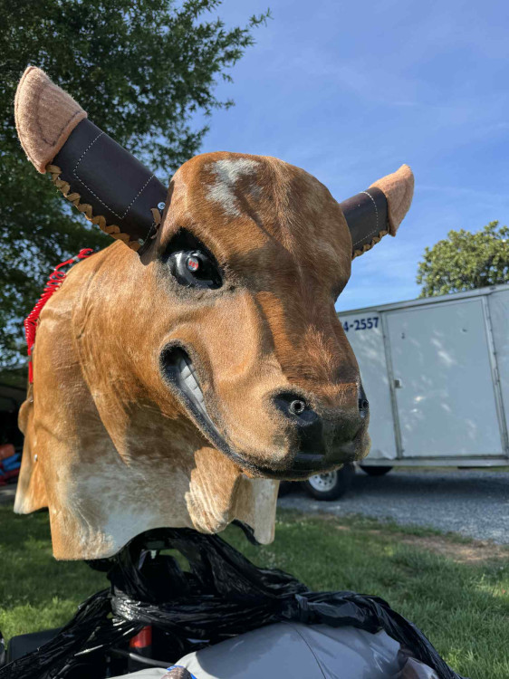 Mechanical Bull